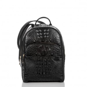 Black Women's Brahmin Dartmouth Backpack Backpacks | 2347DFPSR