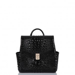 Black Women's Brahmin Liz Backpacks | 8615SYHQM