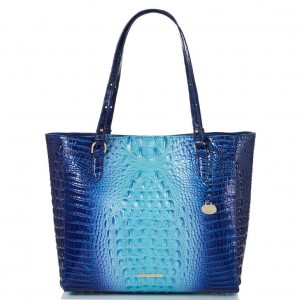 Blue Women's Brahmin April Tote Bags | 2107WNSVM