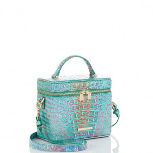 Blue Women's Brahmin Chantal Crossbody Bags | 0491YELOV