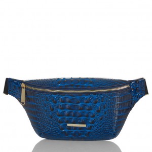 Blue Women's Brahmin Harker Travel Bags | 2975CDLBX