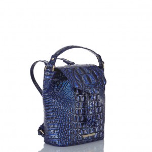 Blue Women's Brahmin Kendall Backpacks | 2095UPYXV