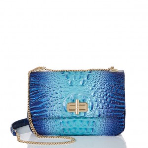 Blue Women's Brahmin Rosalie Crossbody Bags | 9825FGKSN