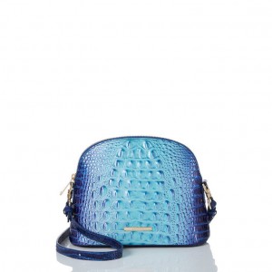 Blue Women's Brahmin Small Georgina Crossbody Bags | 3540FKJME