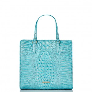 Blue Women's Brahmin Tia Tote Bags | 4983GAKPE