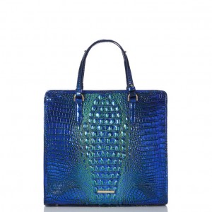 Blue Women's Brahmin Tia Tote Bags | 5963RWHBX