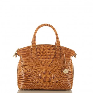 Brown Women's Brahmin Duxbury Satchel Bags | 7132IUVHZ