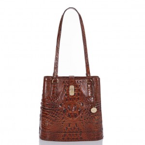 Brown Women's Brahmin Fiora Bucket Bags | 1524DQFCH