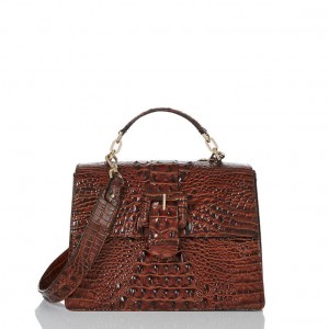 Brown Women's Brahmin Hallie Satchel Bags | 7204TWADZ