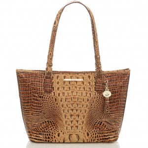 Brown Women's Brahmin Medium Asher Tote Bags | 0463GBFCP