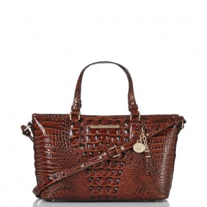 Brown Women's Brahmin Mini Asher Satchel Bags | 3207BZIAV