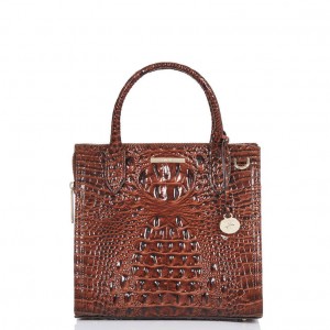 Brown Women's Brahmin Small Caroline Satchel Bags | 9485PTVRK