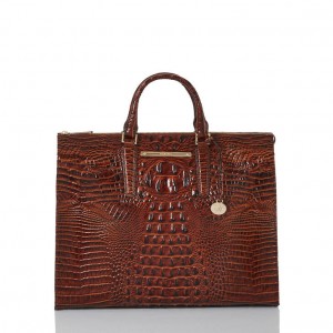 Chocolate Women's Brahmin Business Tote Tote Bags | 4301LGQNU