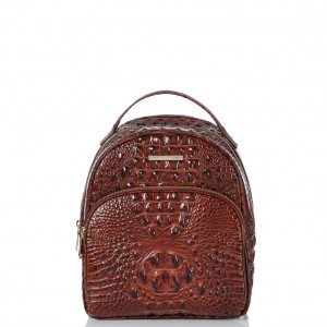 Chocolate Women's Brahmin Chelcy Backpacks | 5386RJAFN