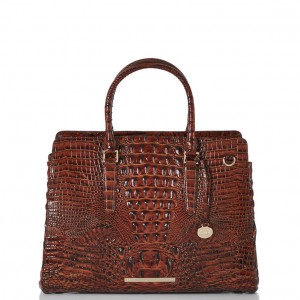 Chocolate Women's Brahmin Finley Carryall Travel Bags | 6289TJLXI