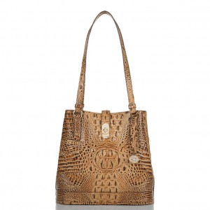 Chocolate Women's Brahmin Fiora Bucket Bags | 8752FORNI