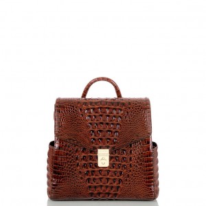 Chocolate Women's Brahmin Liz Backpacks | 4168PBCZG