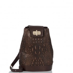 Chocolate Women's Brahmin Maddie Bucket Bags | 7351XCHYV