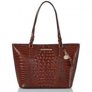 Chocolate Women's Brahmin Medium Asher Tote Bags | 2403SOQIW