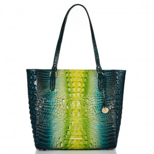 Green Women's Brahmin April Tote Bags | 0241ZDGJB