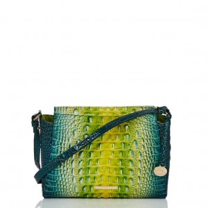 Green Women's Brahmin Hillary Crossbody Bags | 3251DFXPG