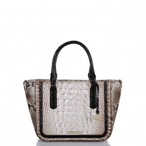 Grey Women's Brahmin Small Ashlee Satchel Bags | 6170TWCAD