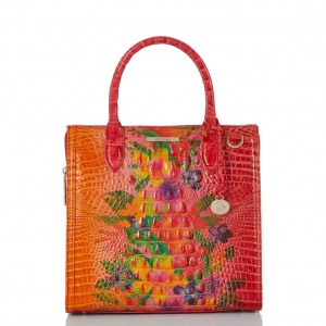 Multicolor Women's Brahmin Caroline Satchel Bags | 8793XSTFJ