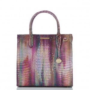 Multicolor Women's Brahmin Caroline Satchel Bags | 0127BWEIK