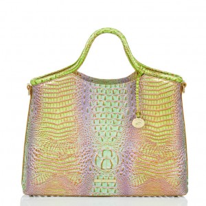 Multicolor Women's Brahmin Elaine Satchel Bags | 0249HMDAG