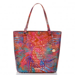 Multicolor Women's Brahmin Ezra Tote Bags | 6241EFTYZ