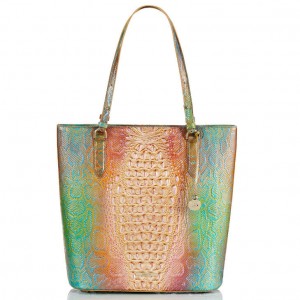 Multicolor Women's Brahmin Ezra Tote Bags | 8270QLTDX