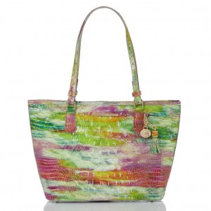 Multicolor Women's Brahmin Medium Asher Tote Bags | 0743HRBIP