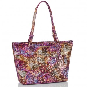 Multicolor Women's Brahmin Medium Asher Tote Bags | 8124EPSTB