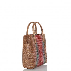 Multicolor Women's Brahmin Moira Tote Bags | 3067XUITG