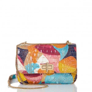 Multicolor Women's Brahmin Rosalie Crossbody Bags | 8246ZHFCV