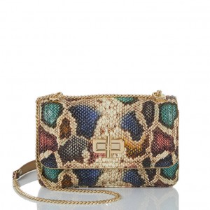 Multicolor Women's Brahmin Rosalie Crossbody Bags | 6453KBQLD