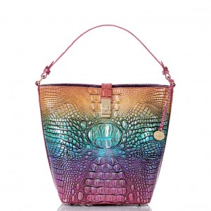 Multicolor Women's Brahmin Shira Bucket Bags | 4786MVAZX