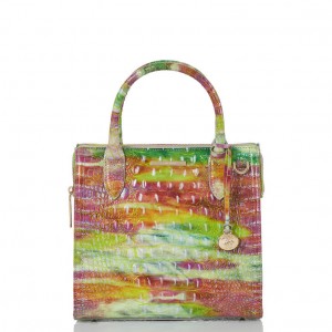 Multicolor Women's Brahmin Small Caroline Satchel Bags | 8062NXBYS