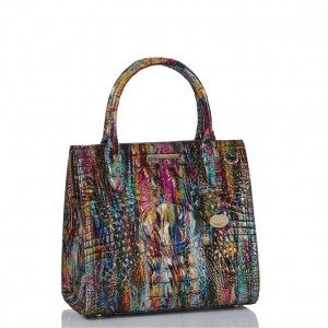 Multicolor Women's Brahmin Small Caroline Satchel Bags | 2814LWARE