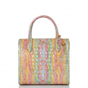 Multicolor Women's Brahmin Small Caroline Satchel Bags | 2760IJGMX