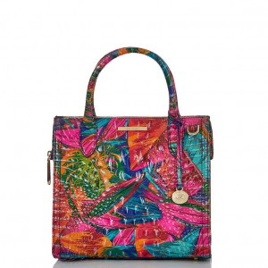 Multicolor Women's Brahmin Small Caroline Satchel Bags | 8197CDZYW