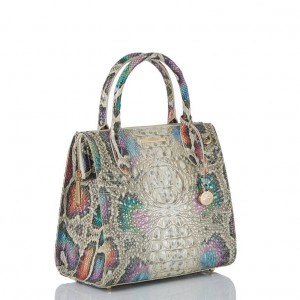 Multicolor Women's Brahmin Small Caroline Satchel Bags | 3504GNFXA