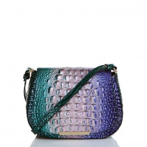 Multicolor Women's Brahmin Small Nadine Crossbody Bags | 3546QXWJP