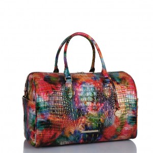 Multicolor Women's Brahmin Spencer Travel Bags | 1460UROWP