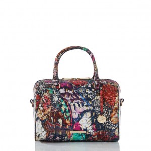 Multicolor Women's Brahmin Stacy Satchel Bags | 4021DLMTC