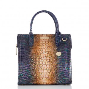 Navy Women's Brahmin Caroline Satchel Bags | 6205UVTWC