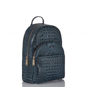 Navy Women's Brahmin Dartmouth Backpack Backpacks | 7103REDLC