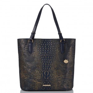 Navy Women's Brahmin Ezra Tote Bags | 9370GIAFO