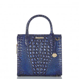 Navy Women's Brahmin Small Caroline Satchel Bags | 5364GHZTY