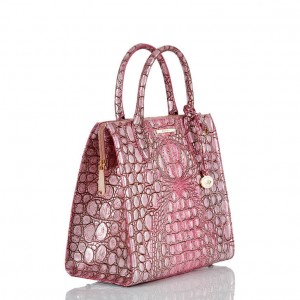 Pink Women's Brahmin Caroline Satchel Bags | 8016XMSWB